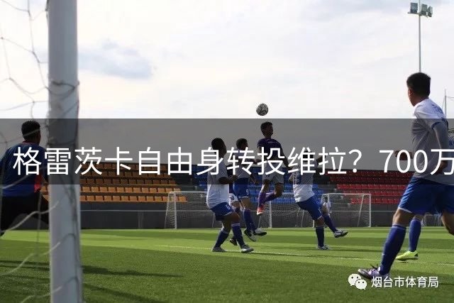 格雷茨卡自由身转投维拉？700万欧年薪引爆英超转会市场